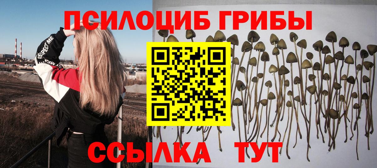 Галлюциногенные грибы мухоморы  Вход с VPN  Соль-Илецк 